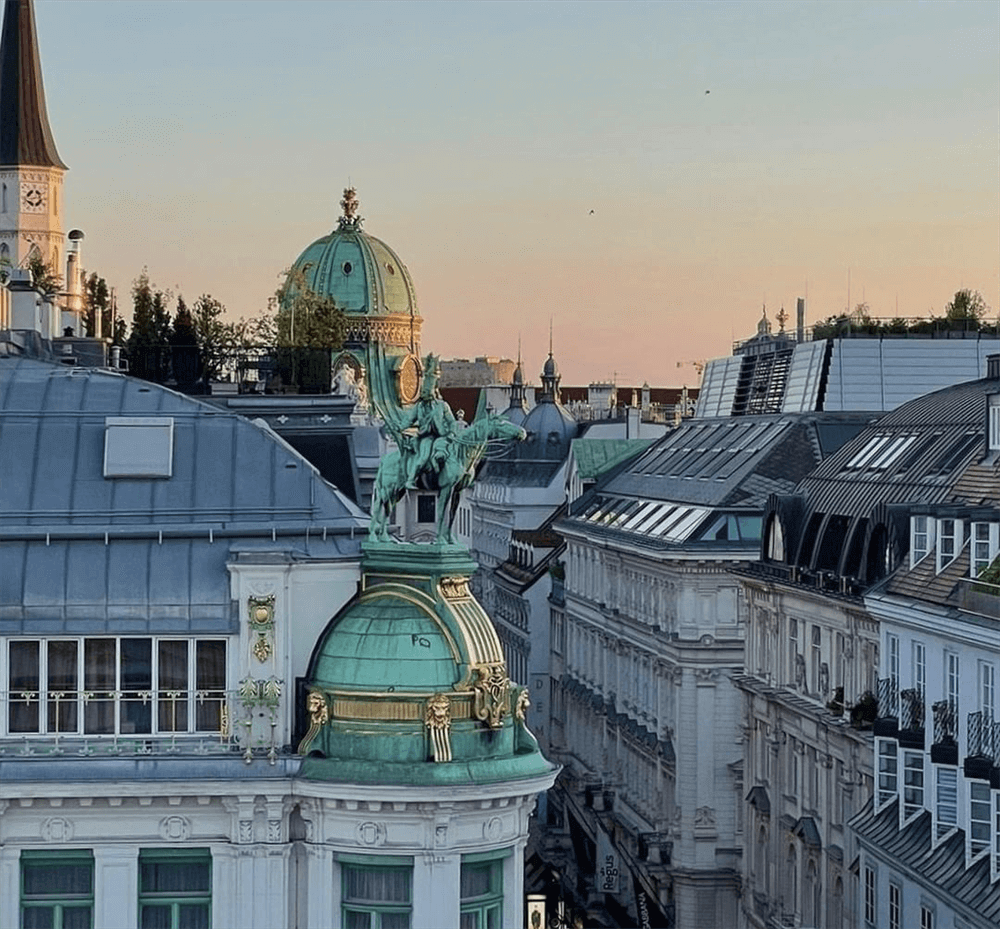 酒店設(shè)計(jì)公司推薦維也納瑰麗酒店裝修案例(圖8)