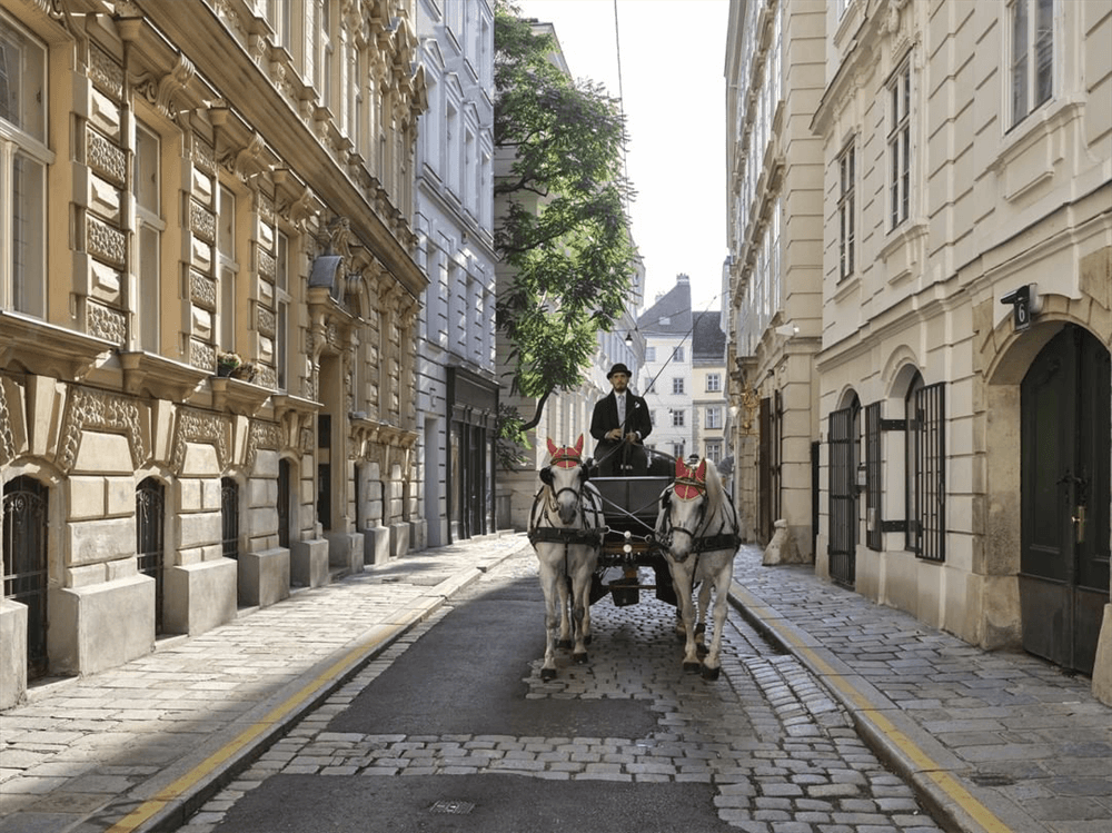 酒店設(shè)計(jì)公司推薦維也納瑰麗酒店裝修案例(圖10)