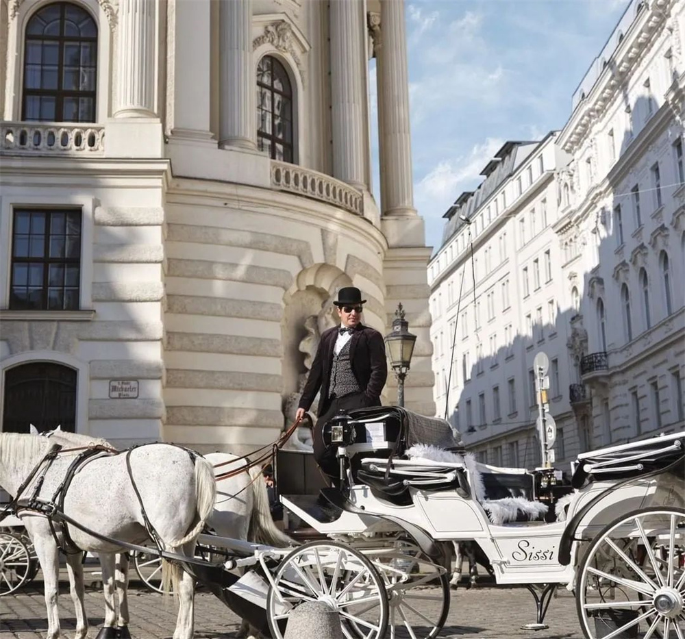 酒店設(shè)計(jì)公司推薦維也納瑰麗酒店裝修案例(圖11)