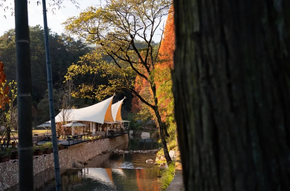 精品野奢養(yǎng)生度假 二都國(guó)家森林帳篷酒店裝修設(shè)計(jì)(圖1) 640_wx_fmt=jpeg&from=appmsg&tp=webp&wxfrom=5&wx_lazy=1&wx_co=1 (1).jpg